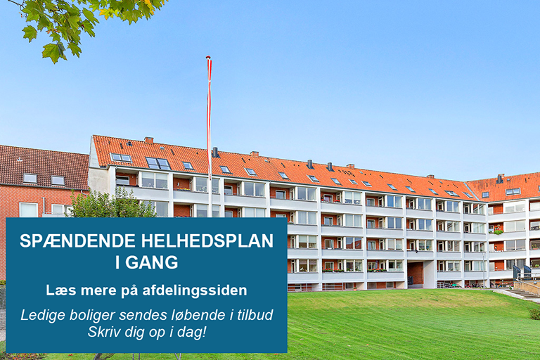 Billede